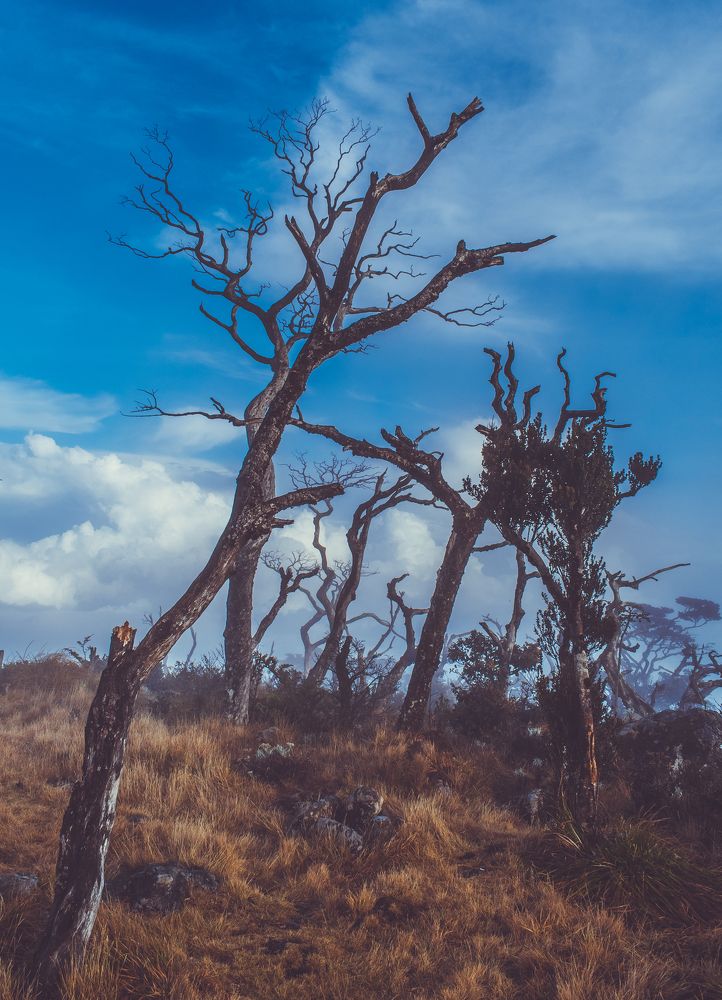 Landscape Photography. Morning View from top of the Mountain