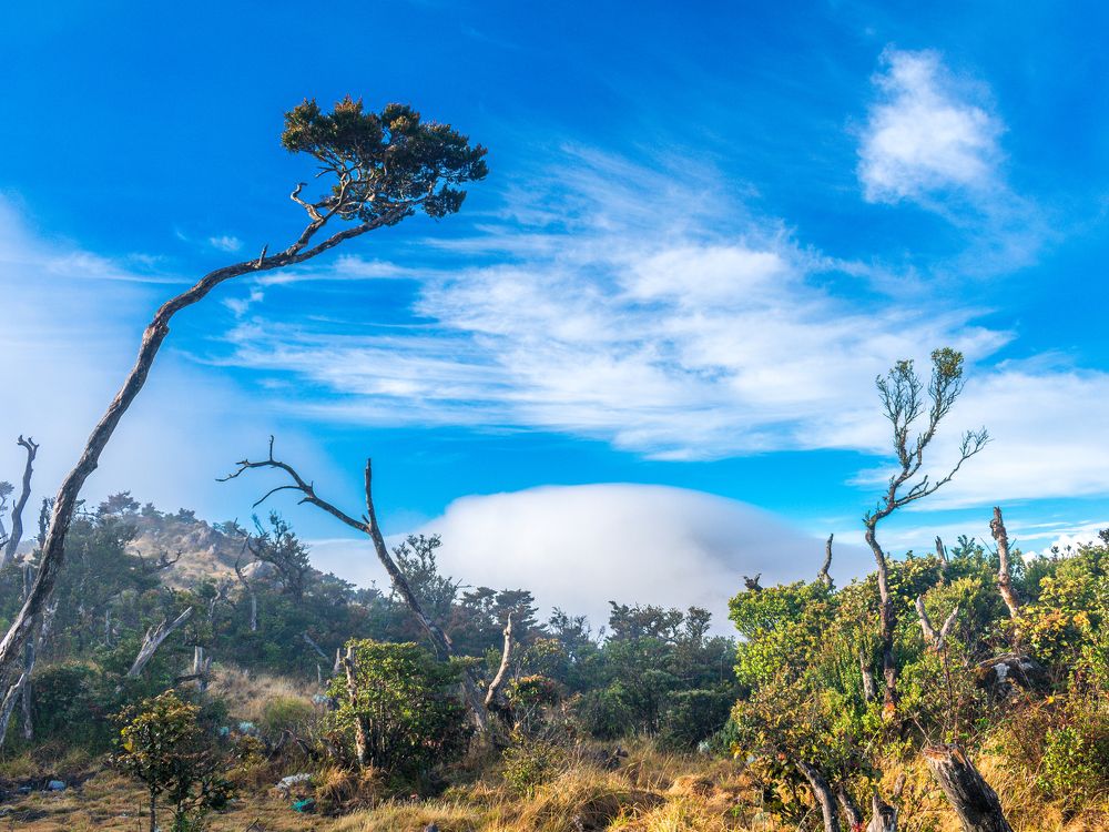Morning View from top of the Mountain