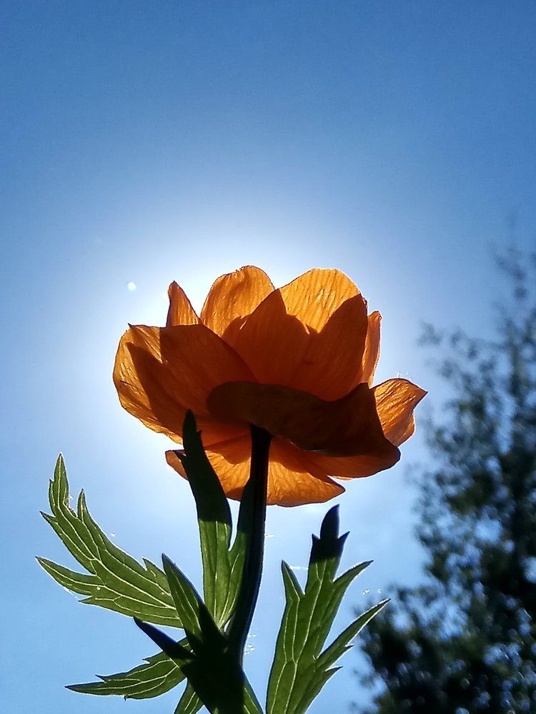 Photograph by Игорь Клопов