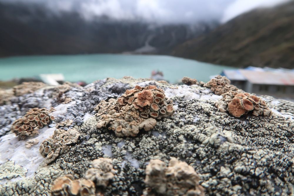 a rock witting the history