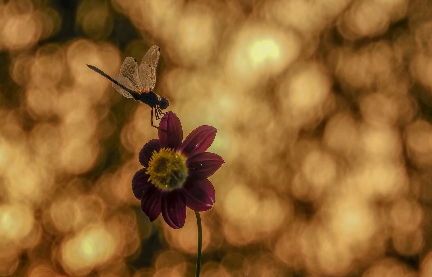 Beauty of nature