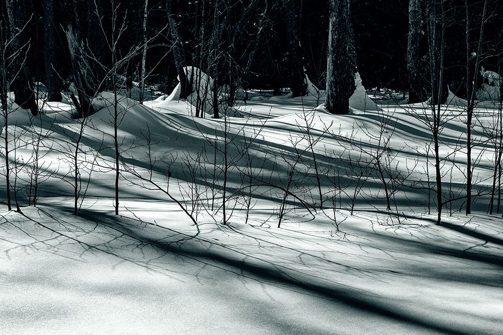 Зимние тени