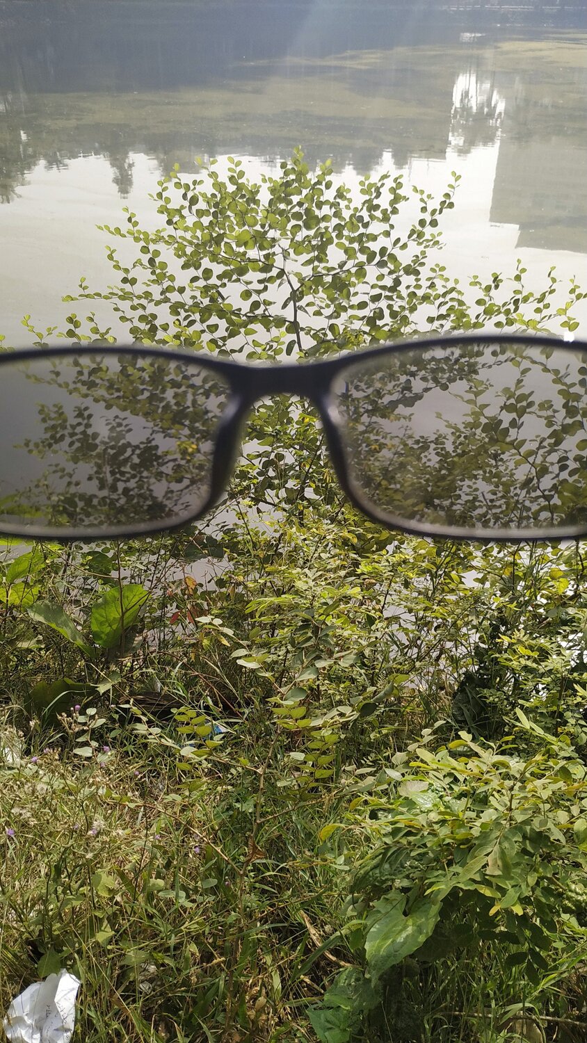 Glass vision