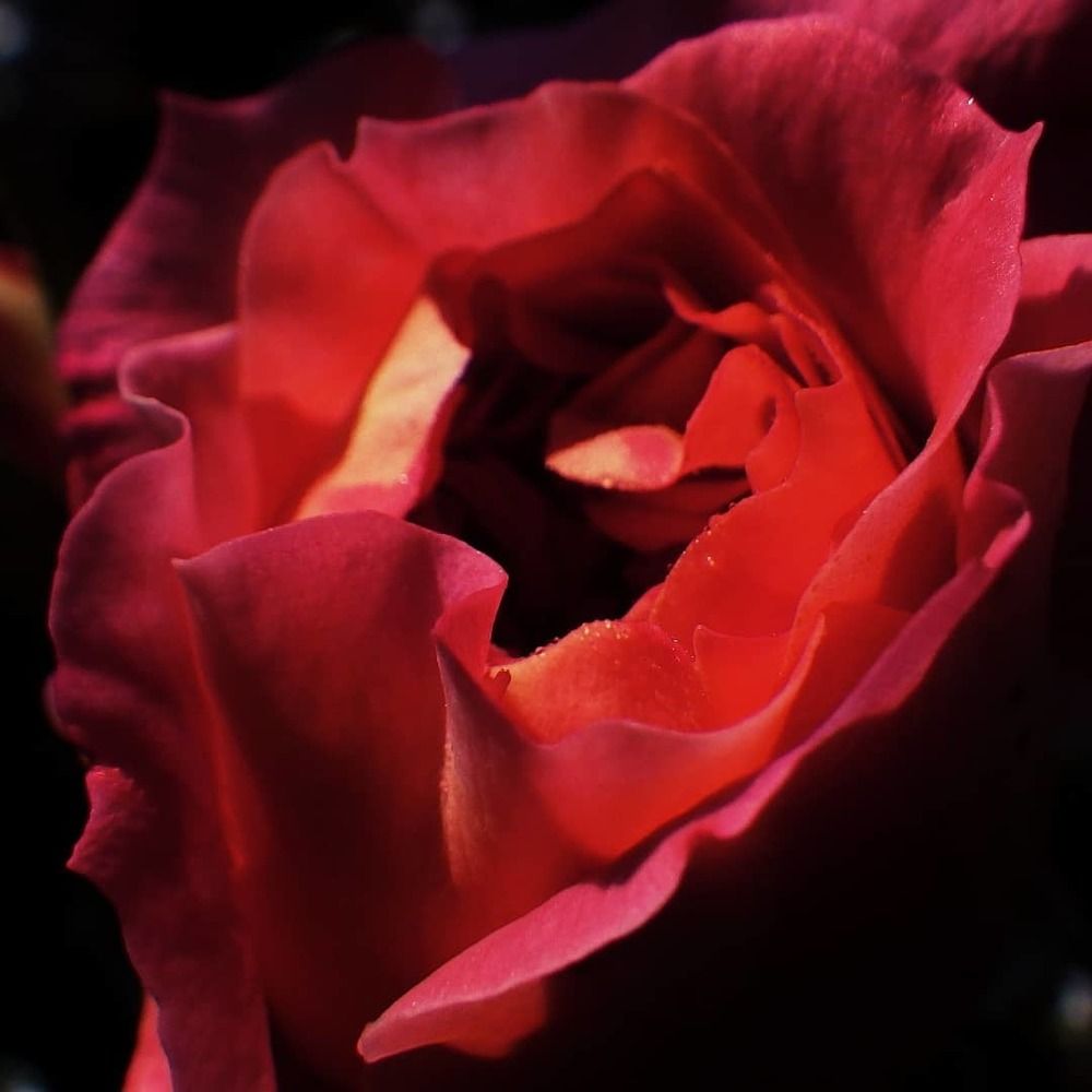 Фотография автора Vitalii Neborak