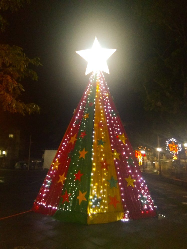 Lighted tree