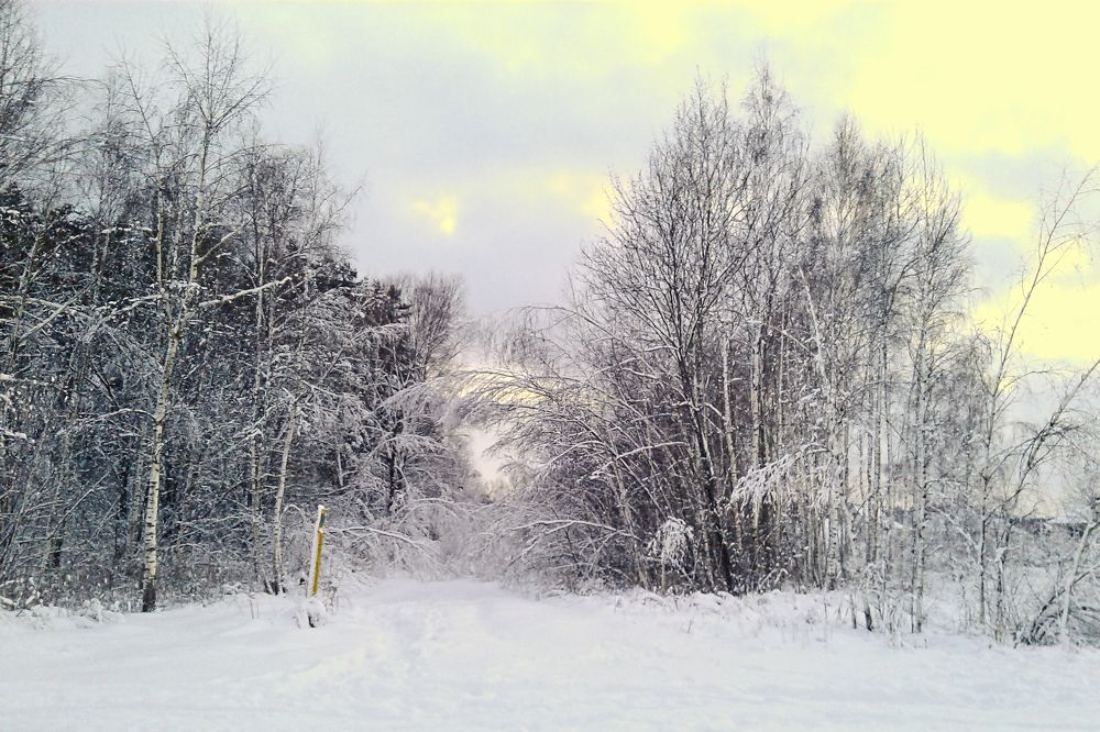 Зимушка-зима