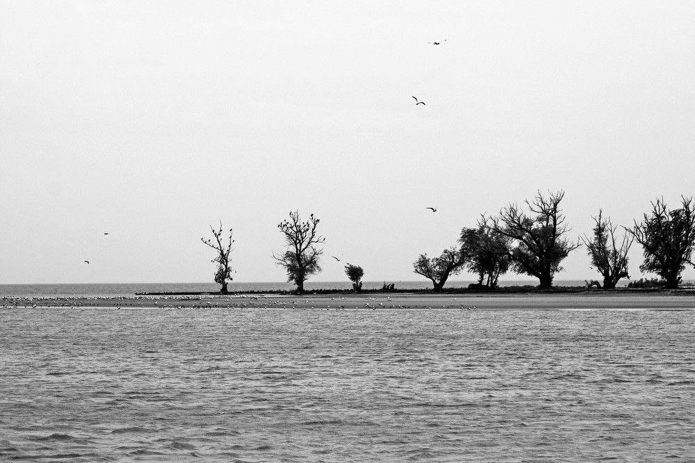 Photograph by Александр Пиленгас