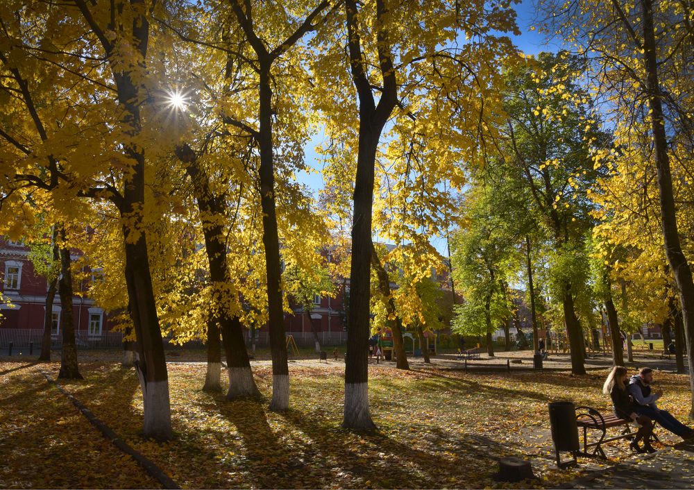 Очей очарованье...