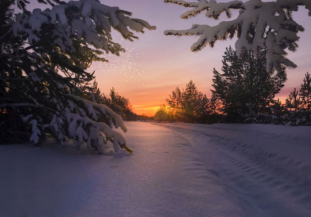 Зимний закат на Севере