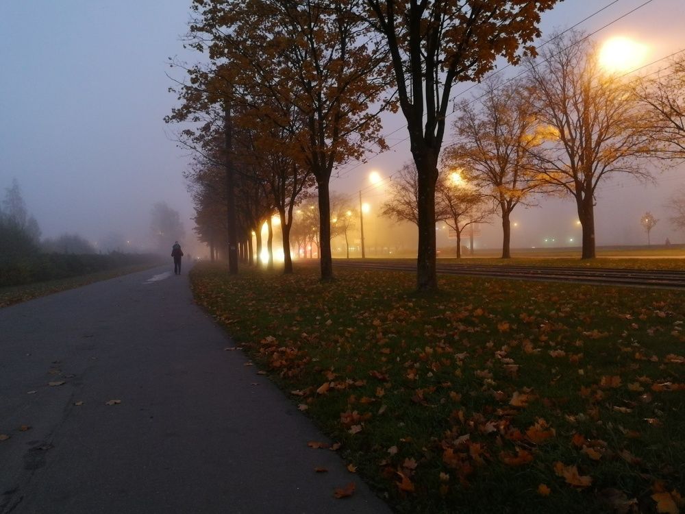 Дорога домой