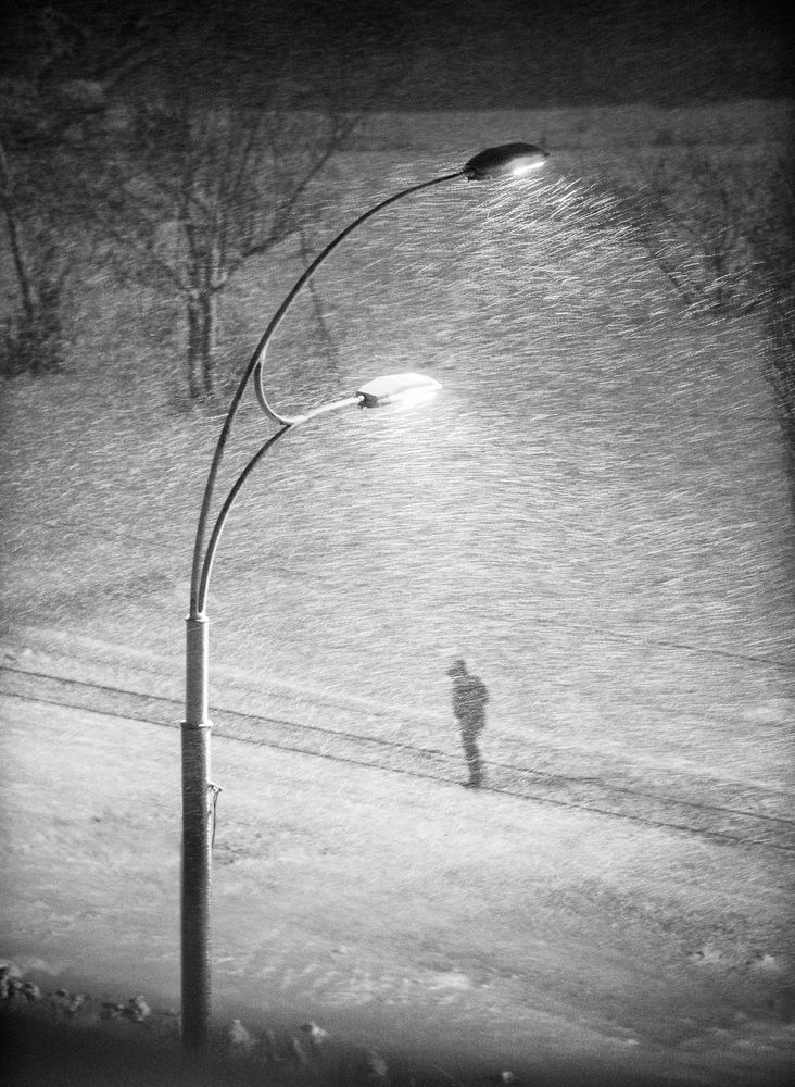 Photograph by Виталий Тимофеев