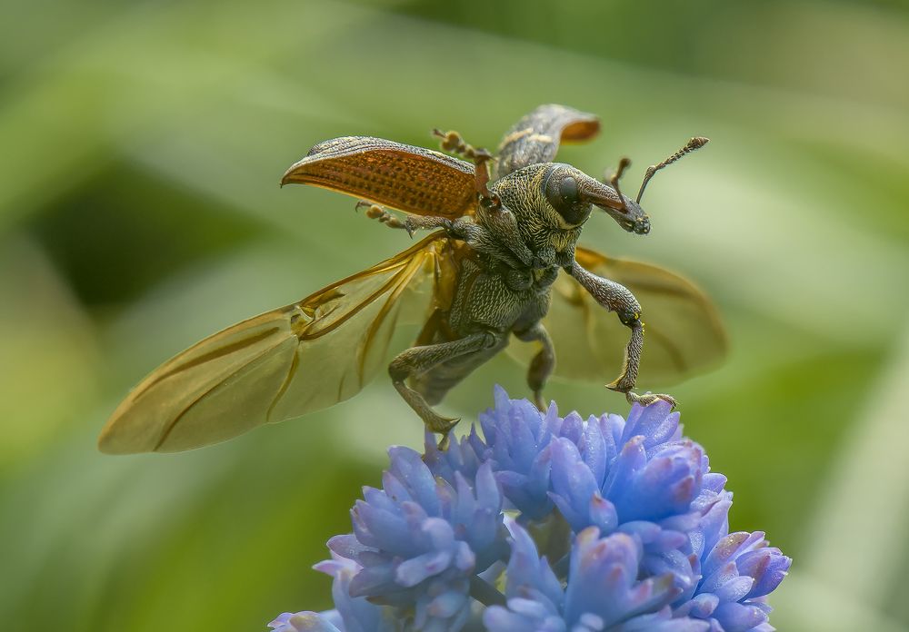 "В бесконечность и дальше!" - "To infinity and beyond!"