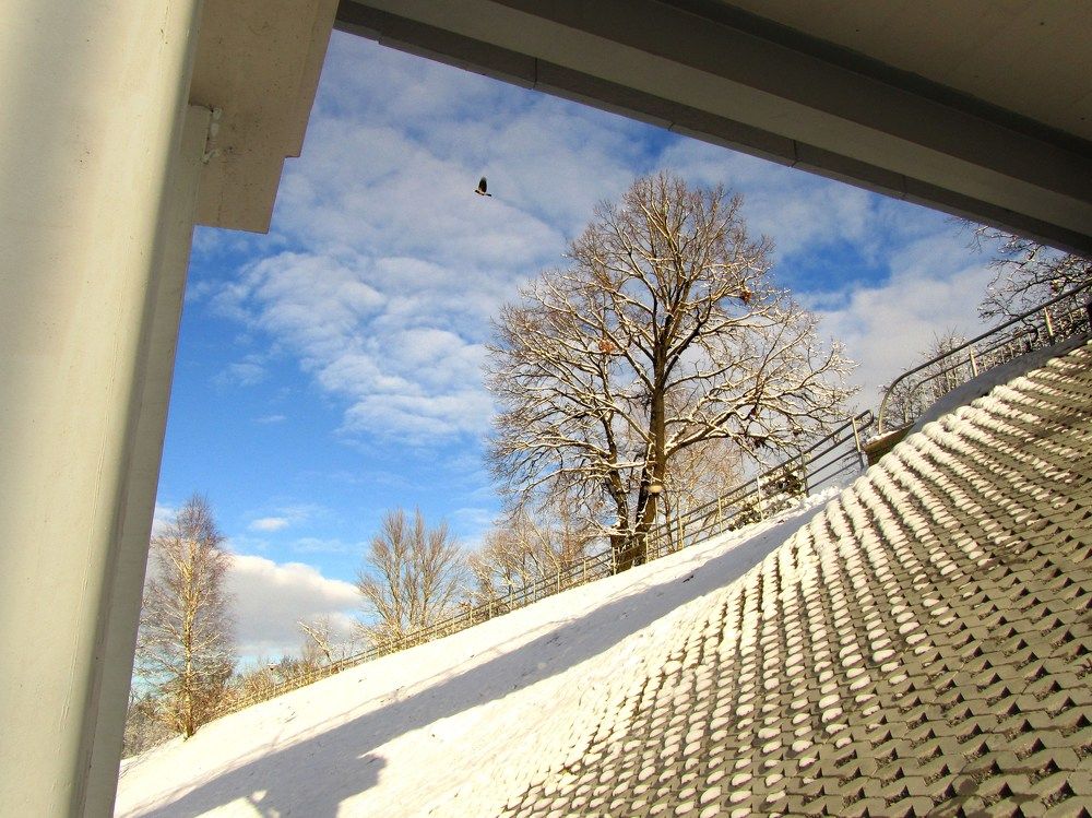 Photo #2792900