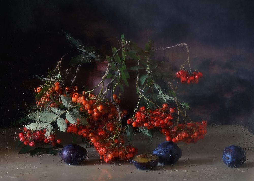 рябиновый дождь...