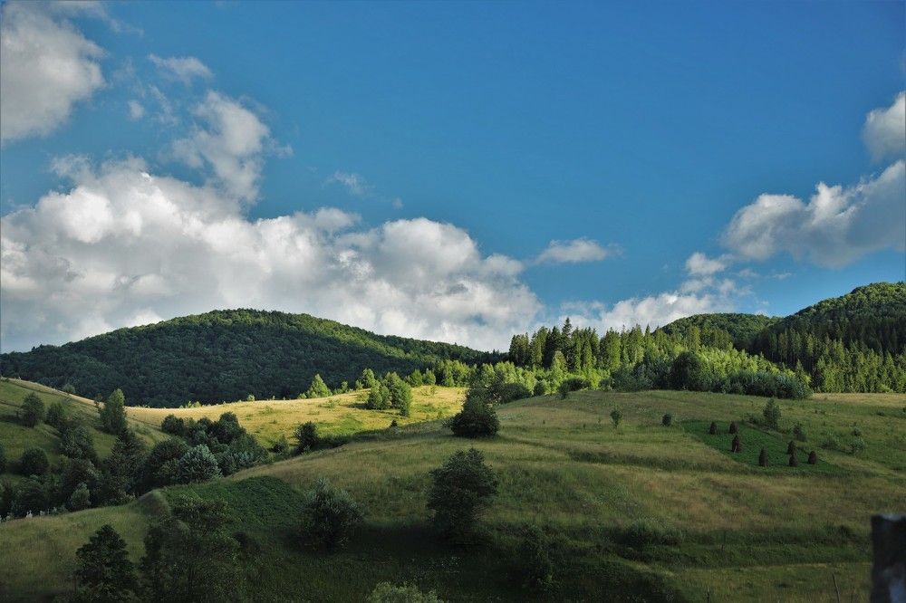 Просто Лето...