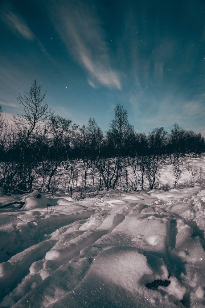 Полярная ночь