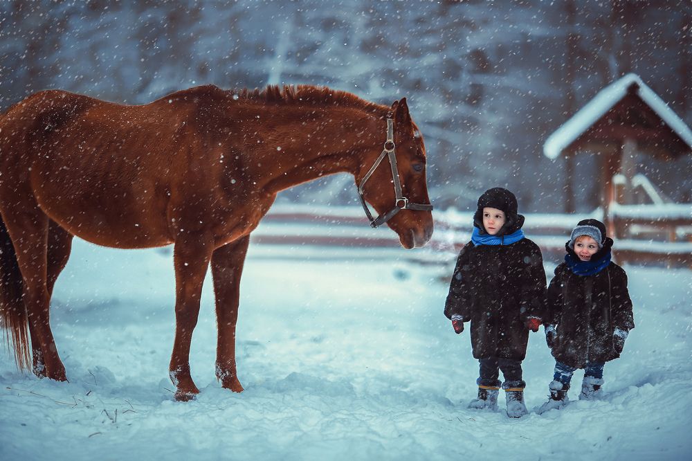 Ничего не бойся