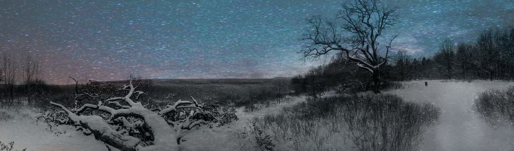 Павшее дерево