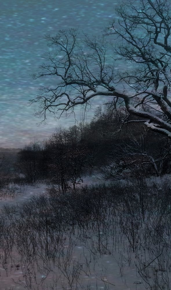 В зимнем лесу