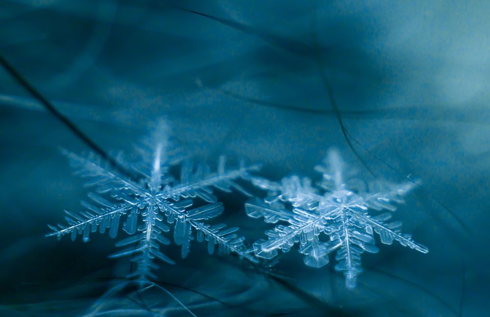 Хрустальный тандем