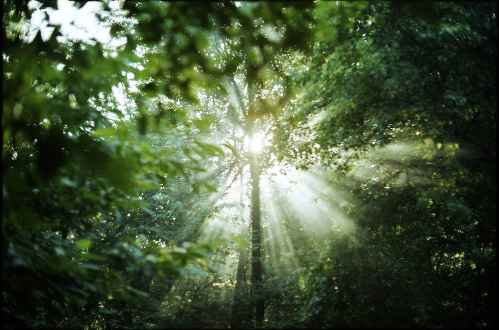 На рассвете