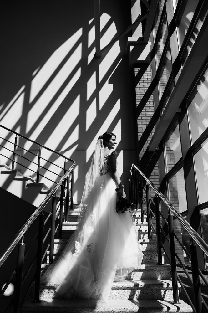 Фотография автора Алина Вербицкая