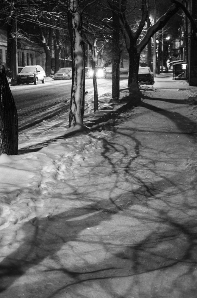 Таинственный гость в серебристом плаще