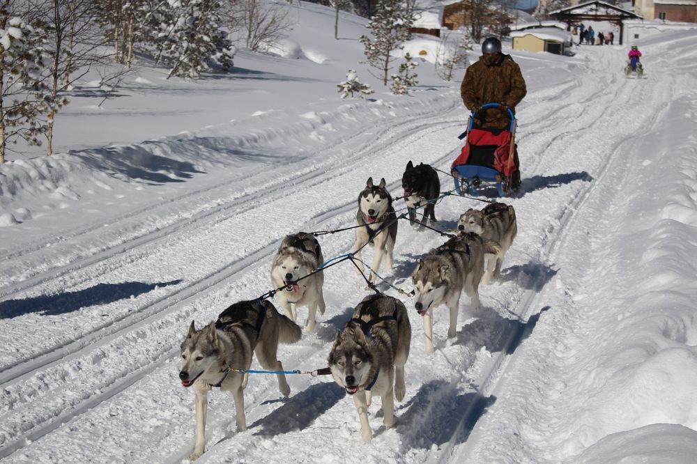 Photograph by Олег Ермоленко