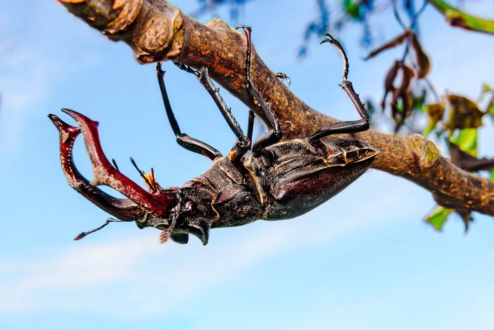 Photograph by Виталий Тимофеев