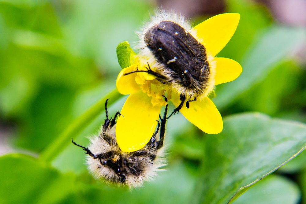 Photograph by Виталий Тимофеев