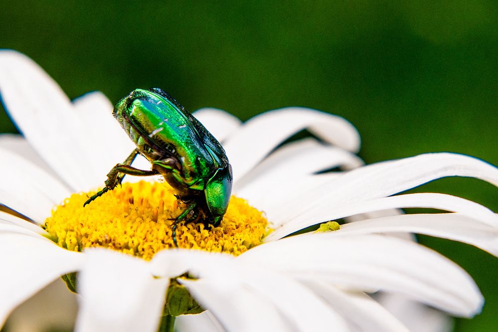 Photograph by Виталий Тимофеев