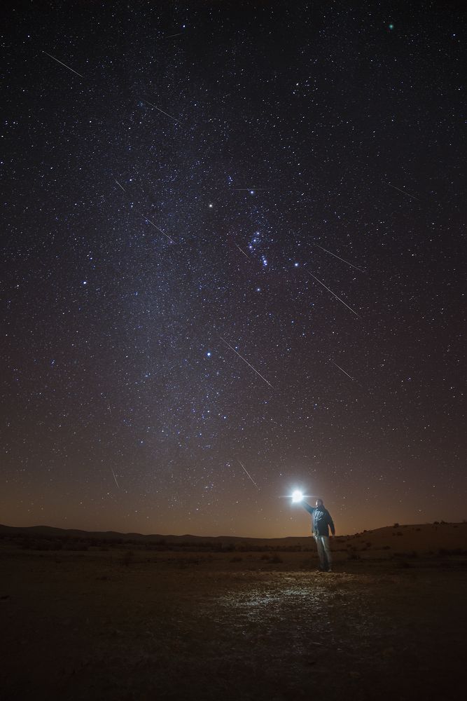 Geminid Meteor Shower and Comet 46P/Wirtanen, 2018