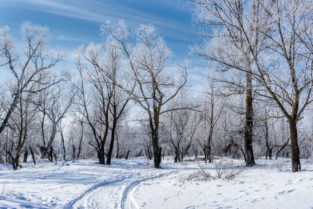 дорога в зиму