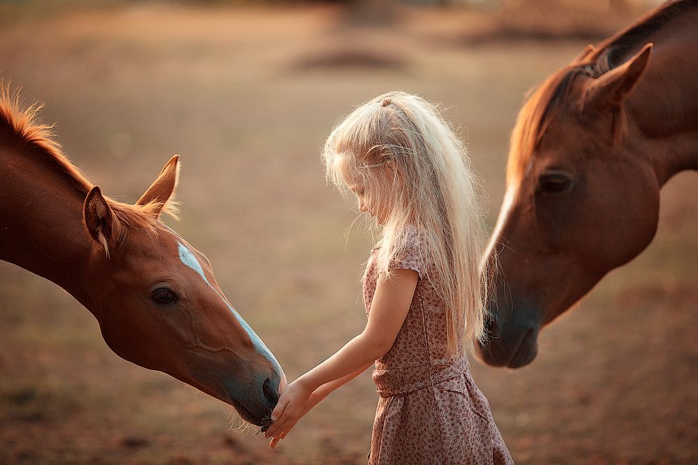 Фотография автора Францева Ольга