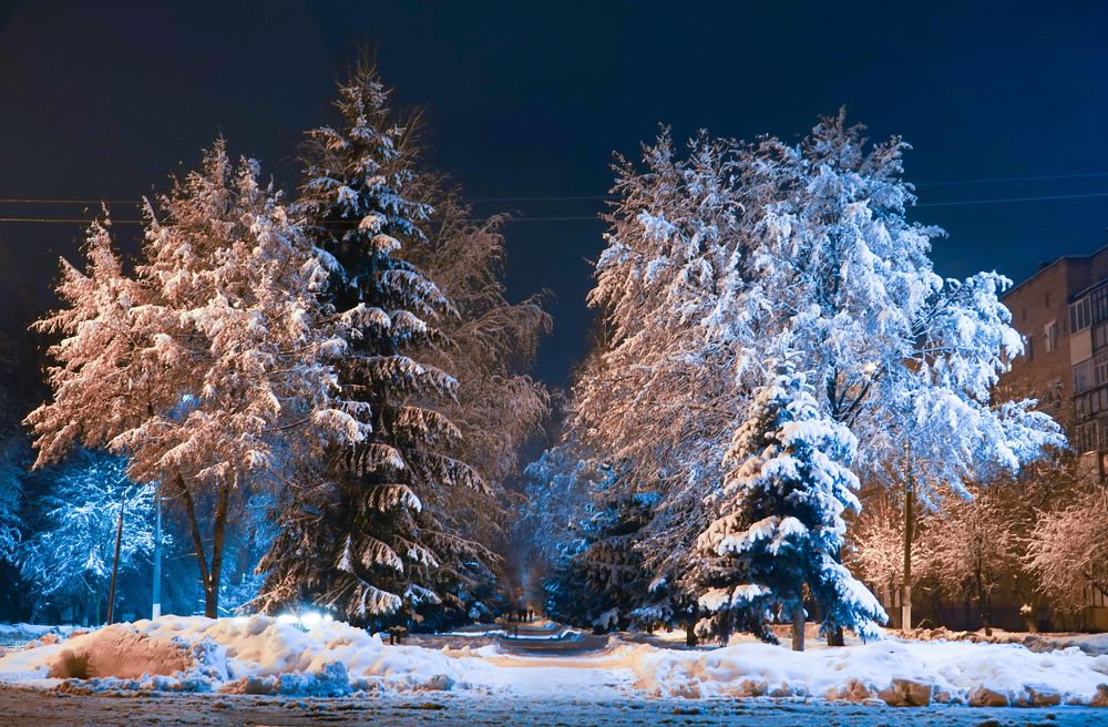 Photograph by Владимир Парадный