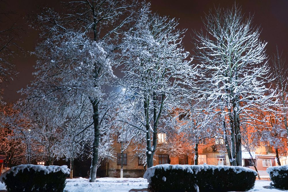 Photograph by Владимир Парадный