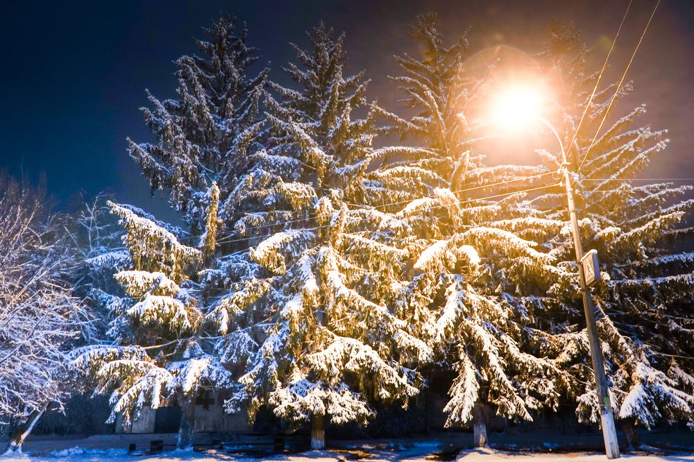 Photograph by Владимир Парадный