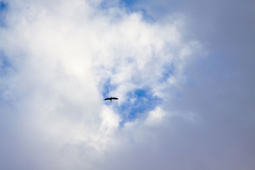 Photograph by Chia Hasankhali