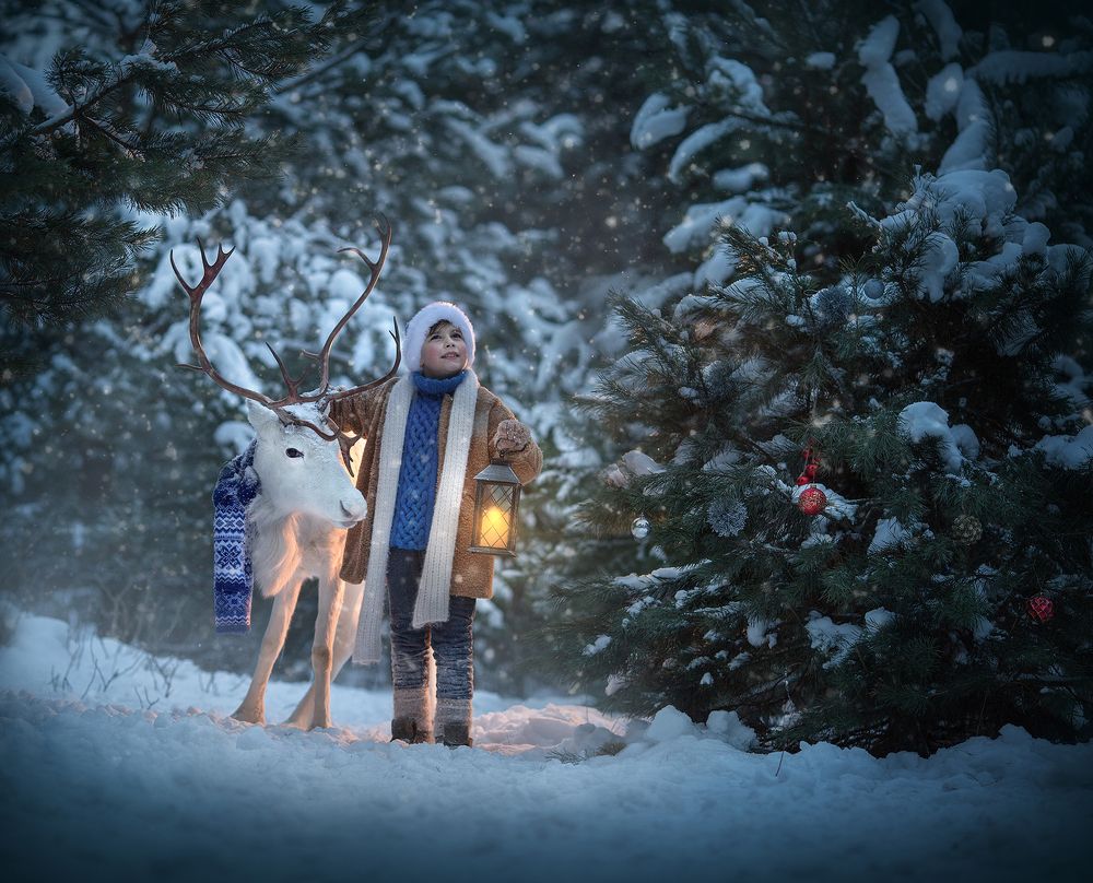 Зимняя сказка