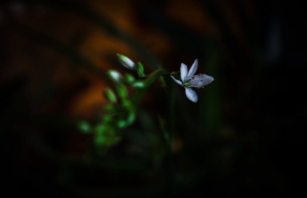 Photograph by Shuhrat Djuraev