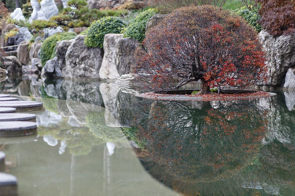 Японский сад