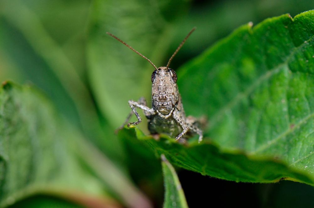 Photograph by Людмила Шалина