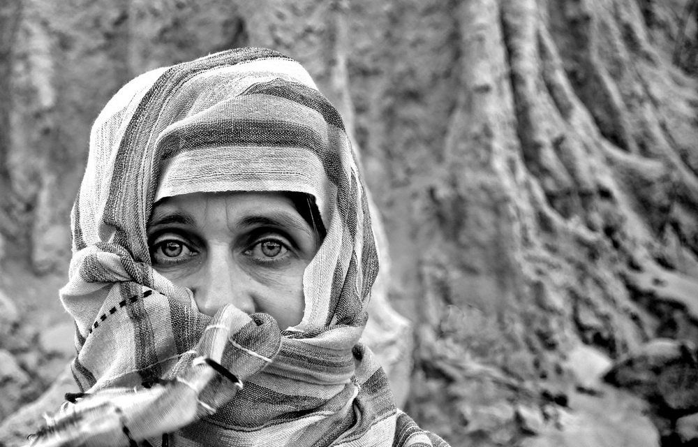 Эти глаза напротив.