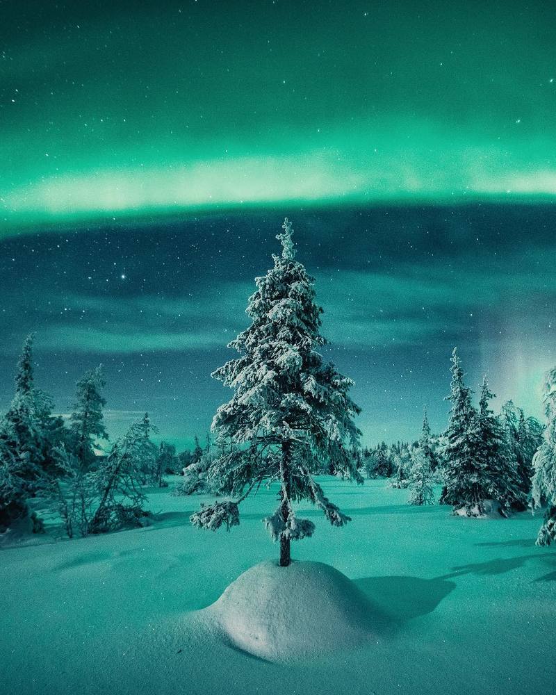 На встречу к звёздам