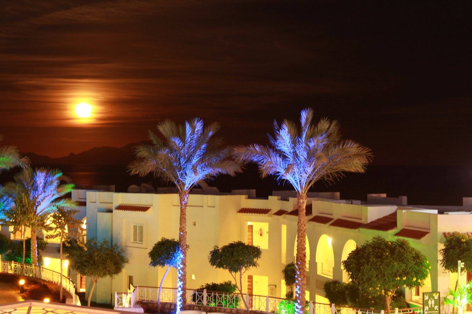 Moon lightt