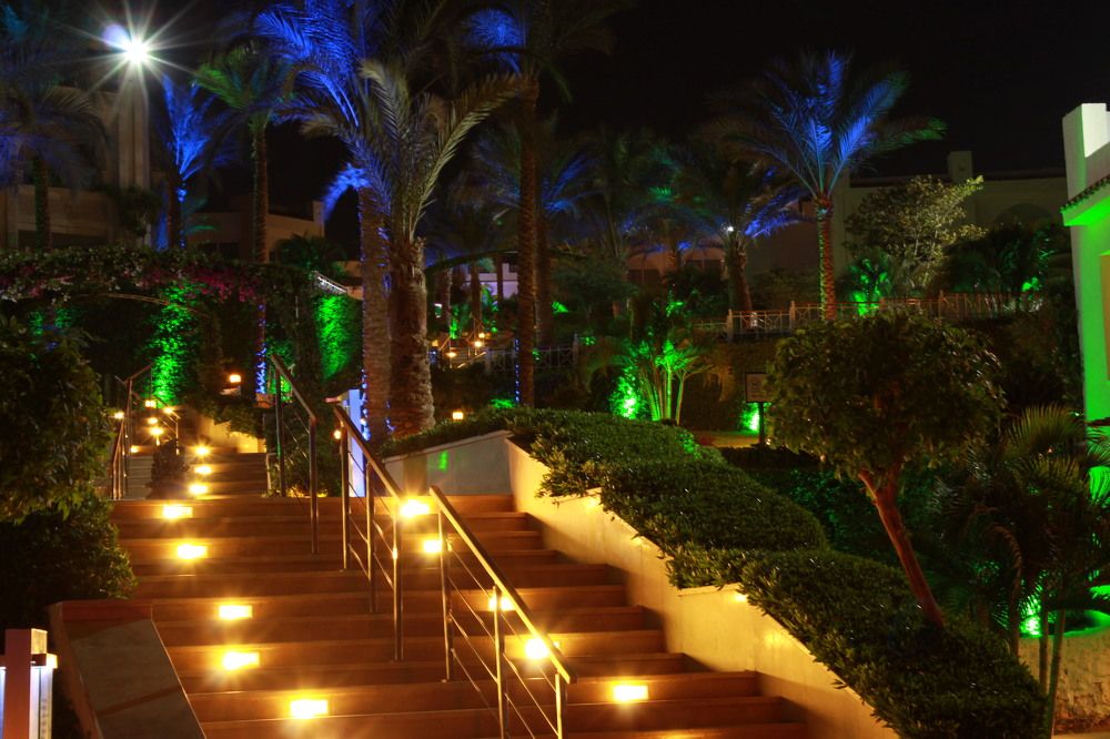 Lights steps