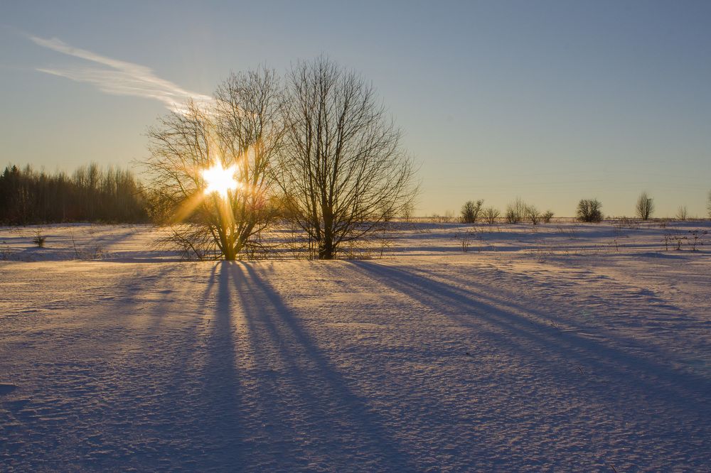 Графика зимы
