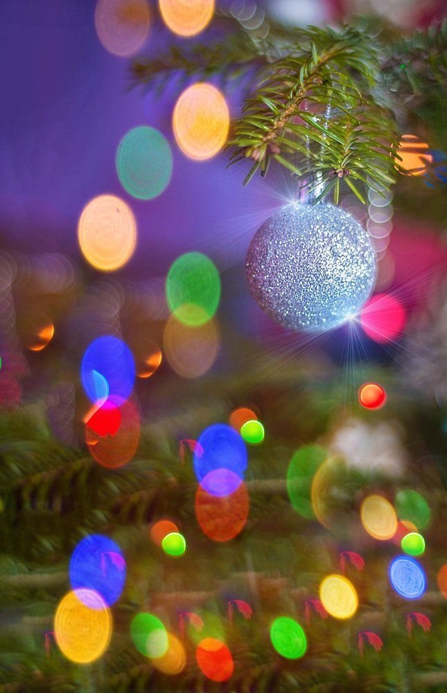 Photograph by Олеся