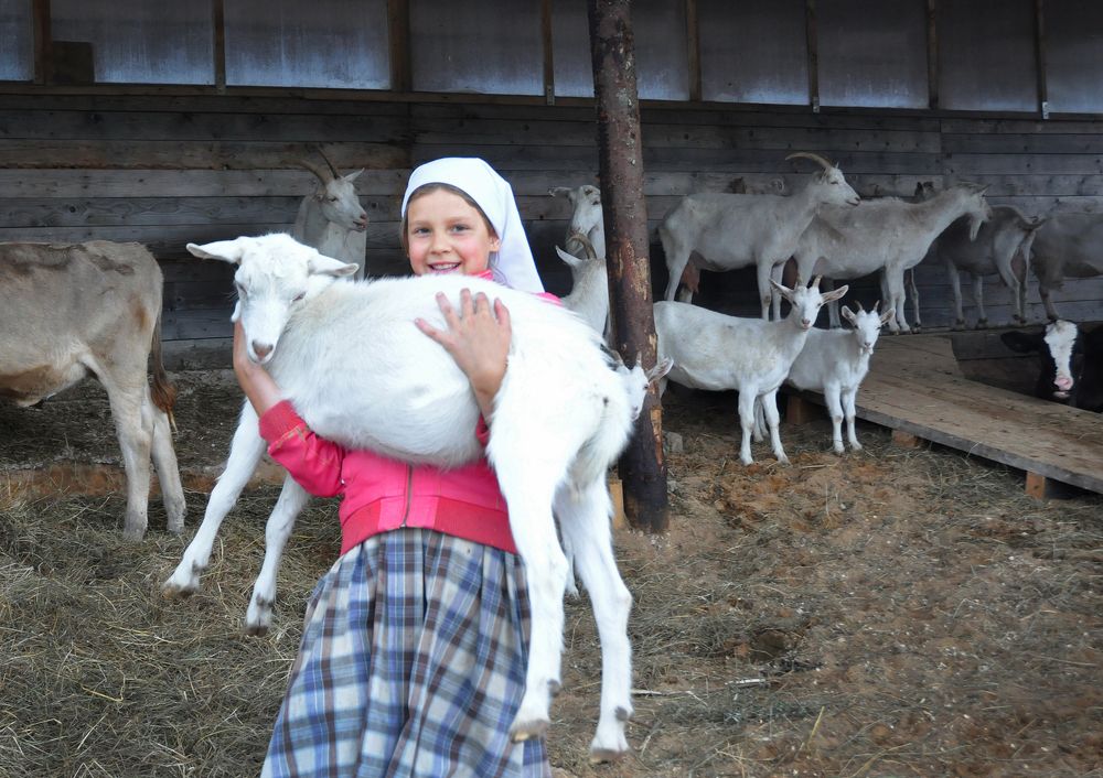 Лиза и козленок