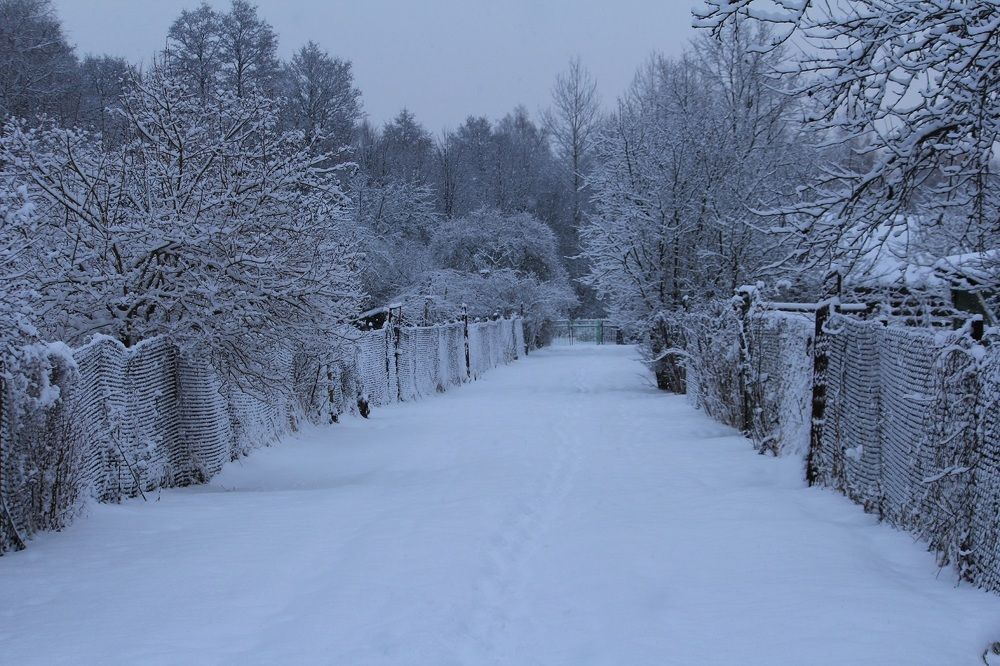 После снегопада...
